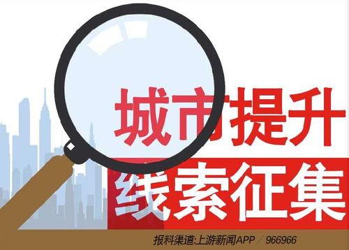 离婚新闻爆料热线电话,见证家庭变故的隐秘通道  第2张