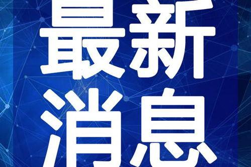 热点爆料辟谣视频大全最新,最新辟谣视频大全深度解析